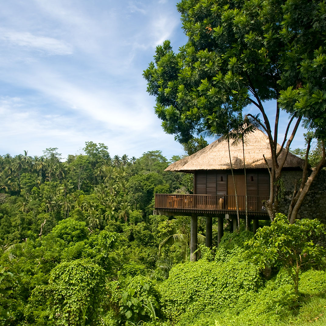 アリラ ウブド / Alila Ubud