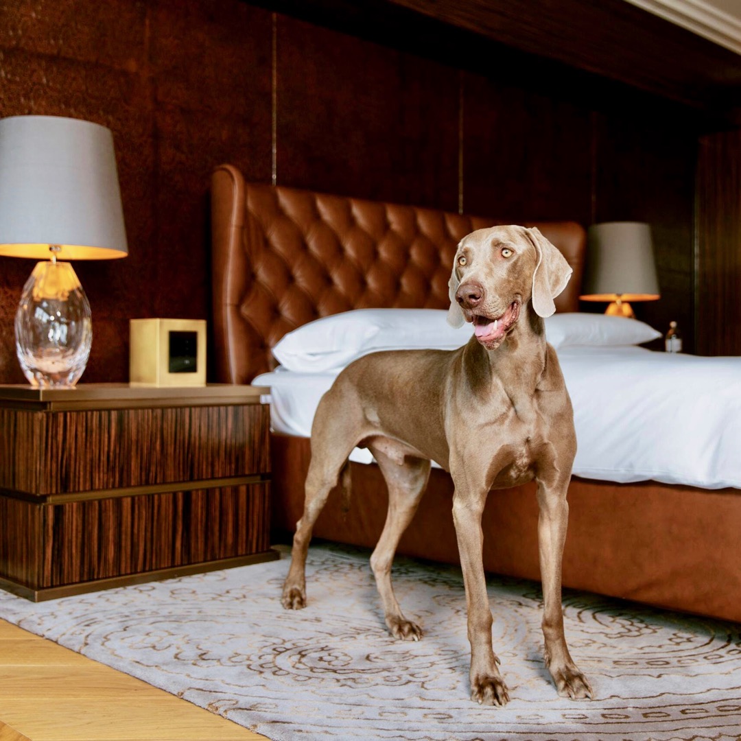 Park Hyatt Vienna