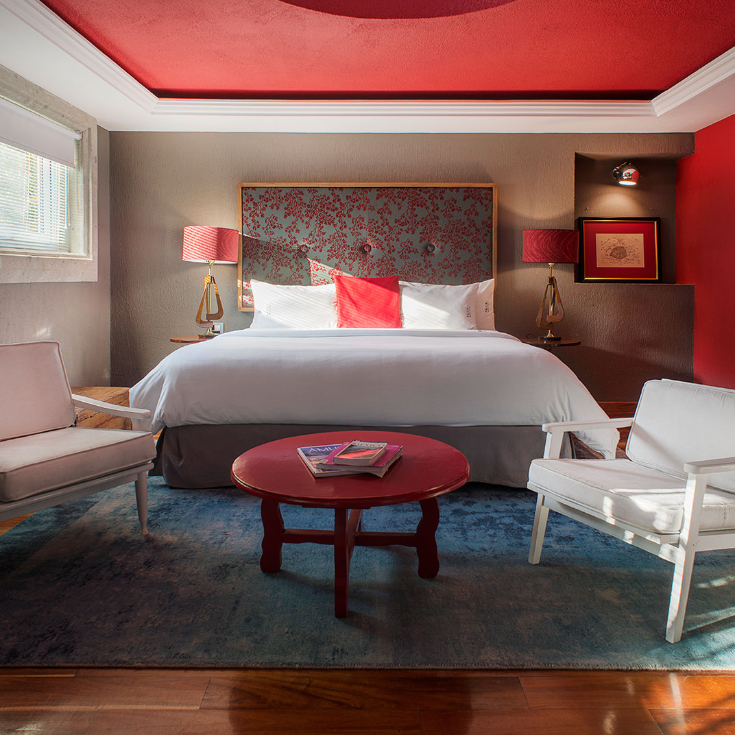 Pug Seal Coyoacan Boutique B&B