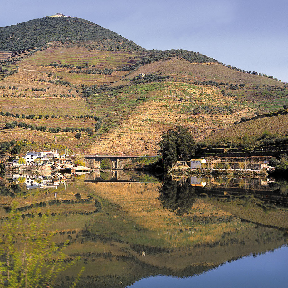 Douro41 Hotel & Spa