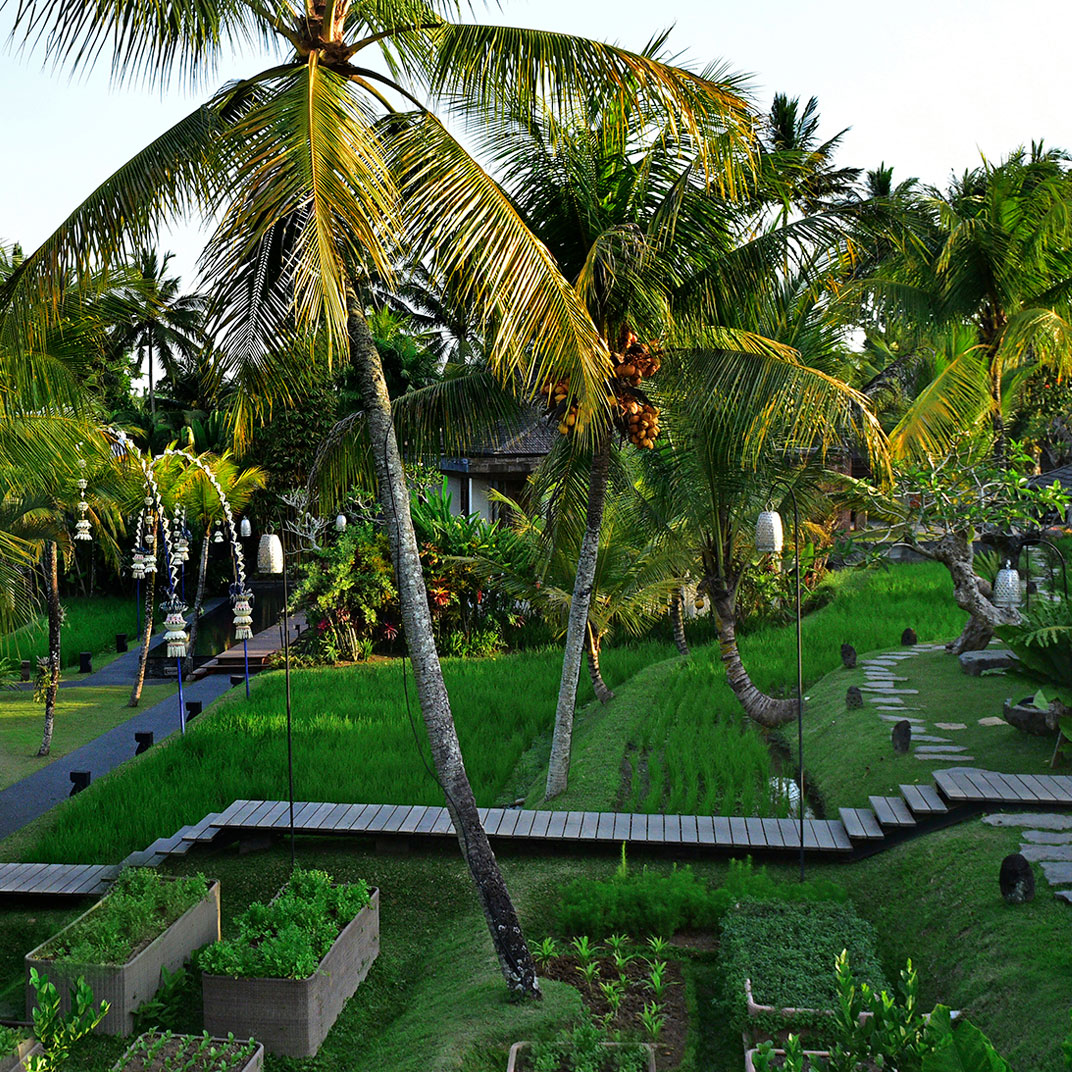 Chapung Sebali