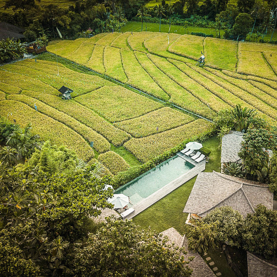 Villa Artis