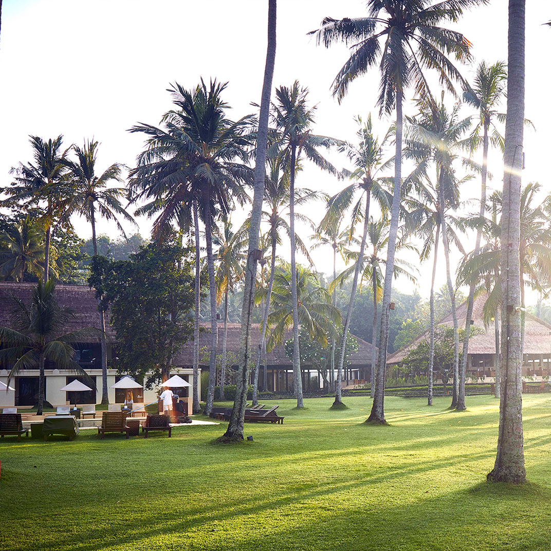 Alila Manggis