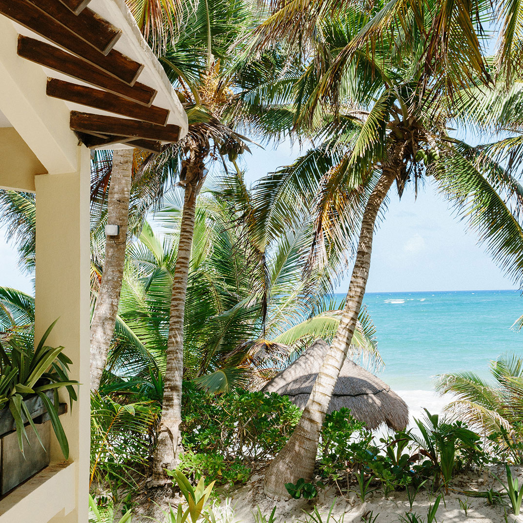Olas Tulum
