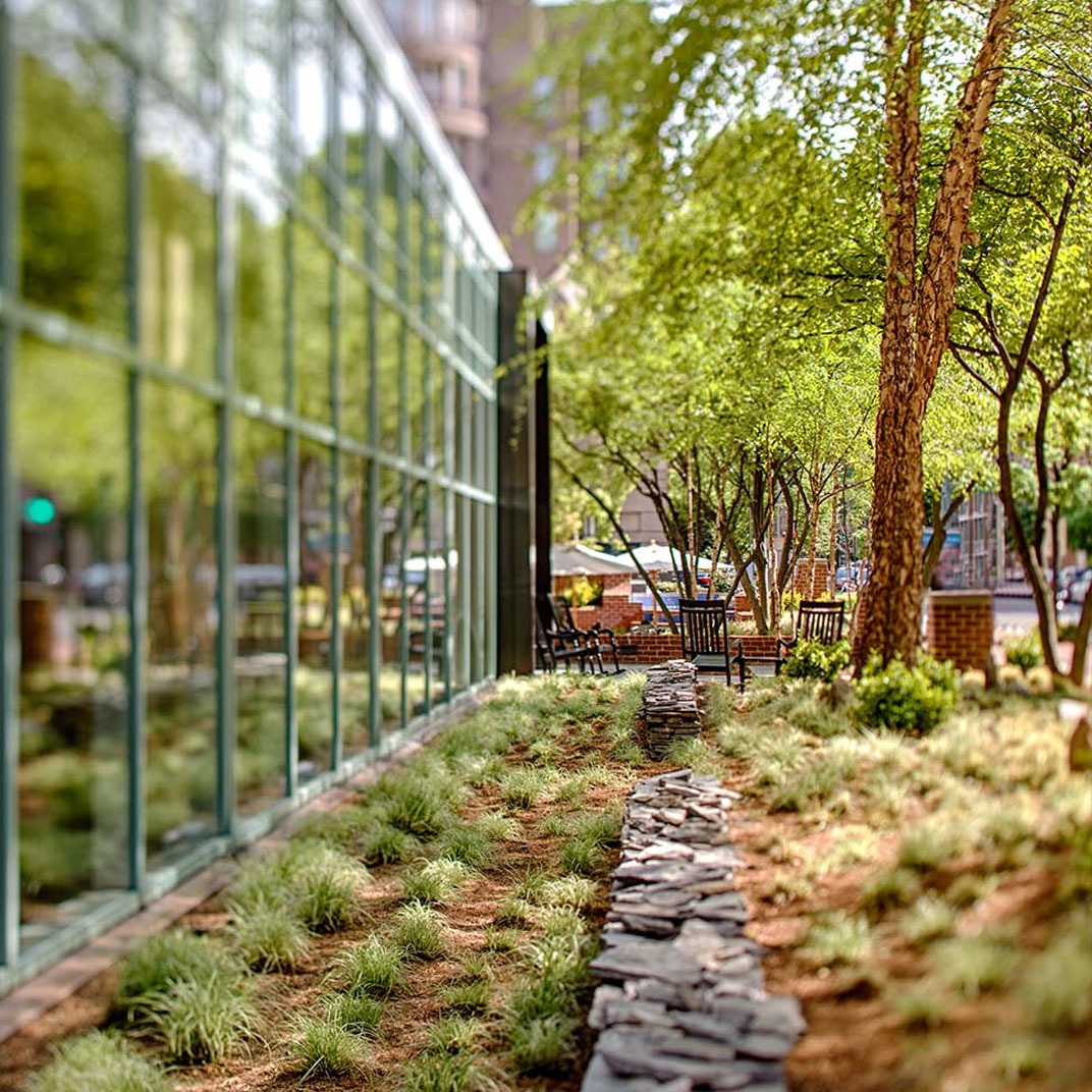 Park Hyatt Washington