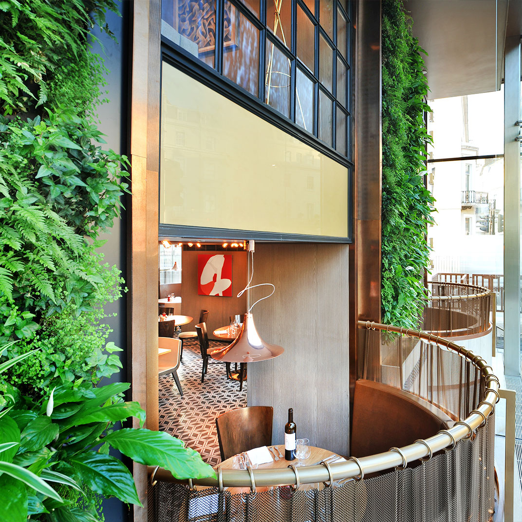 The Hari London