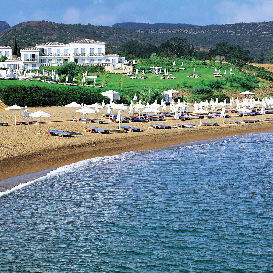 Anassa