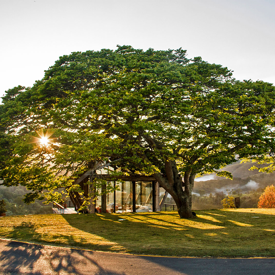 Botanique Hotel & Spa