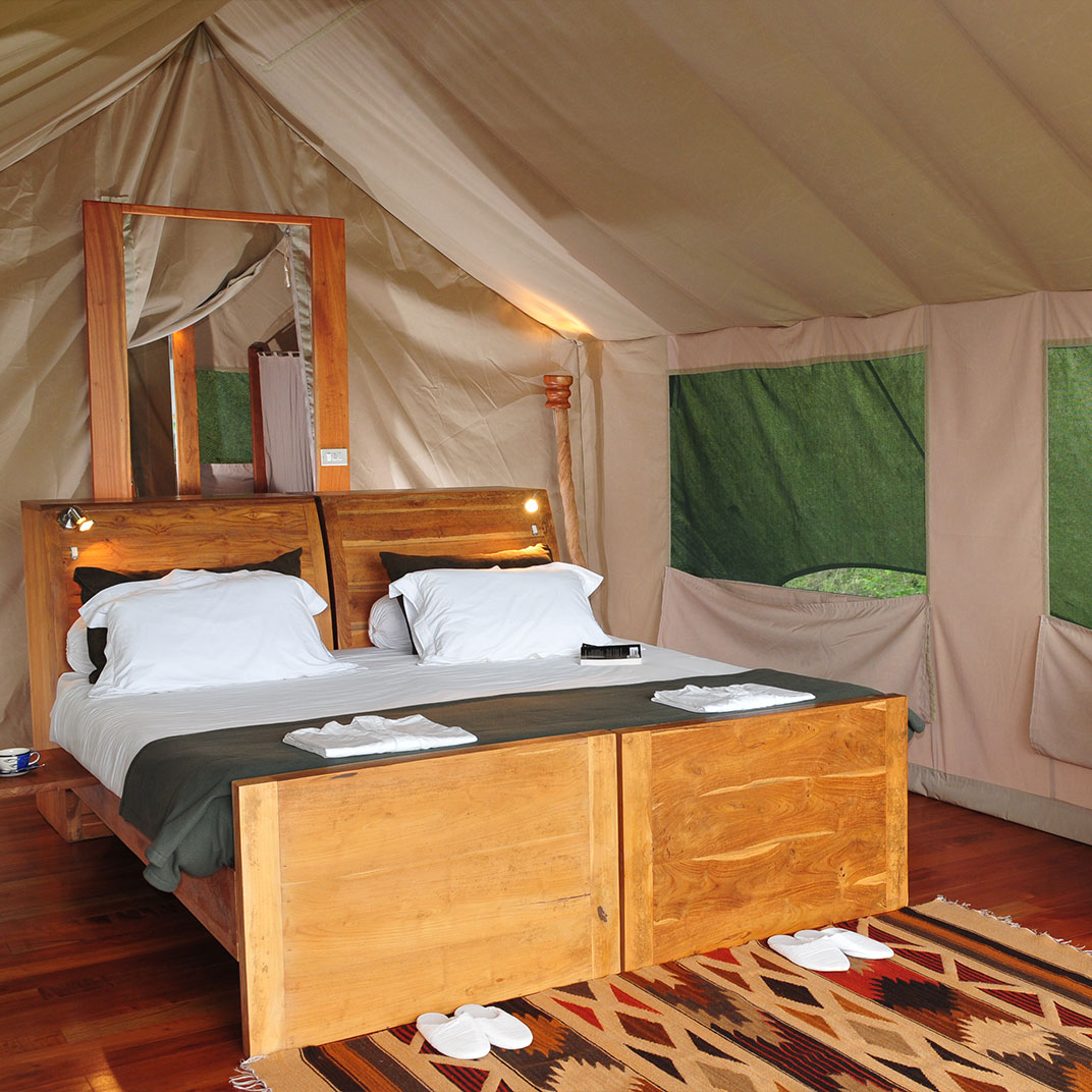 Galapagos Safari Camp