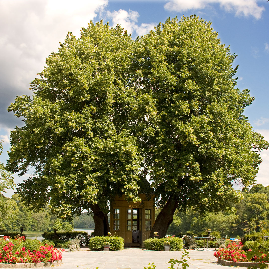Stallmästaregården
