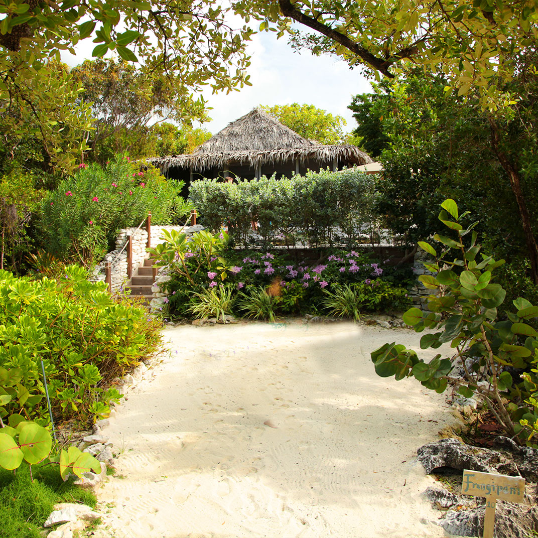 Tiamo Resort